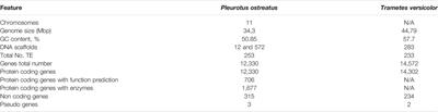 Assessing the Biodegradation of Vulcanised Rubber Particles by Fungi Using Genetic, Molecular and Surface Analysis